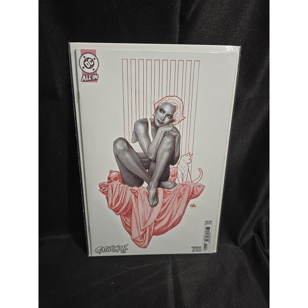 CATWOMAN #79 DC COMICS 2025 FRANK CHO VARIANT COVER MODERN AGE COMIC BOOK
